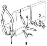 F1TZ78611B08CC - Electrical: Belt for Ford: Explorer Image