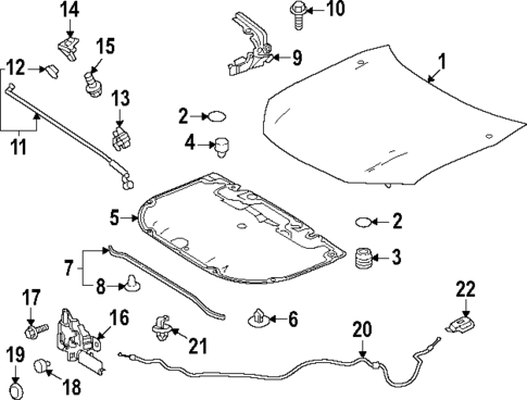 Hood & Components for 2025 Toyota Camry #0