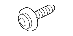 9423101 - Body: License Bracket Screw for GM Image