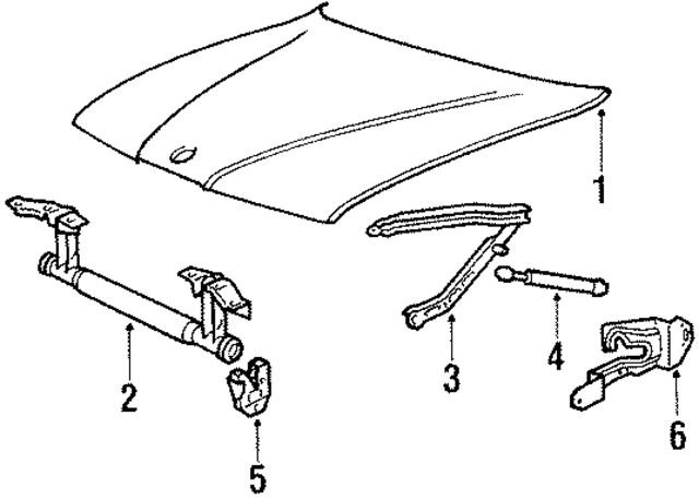 41618101916 - Body: Hood for BMW Image