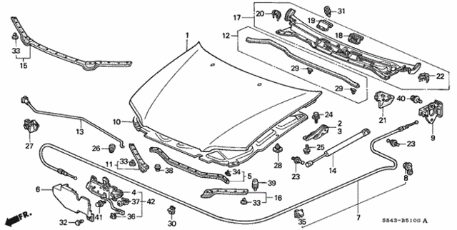 Engine Hood for 2001 Honda Accord #0