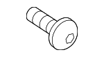 19904810 - Body: Quarter Panel Trim Panel Screw for MB Vans Image