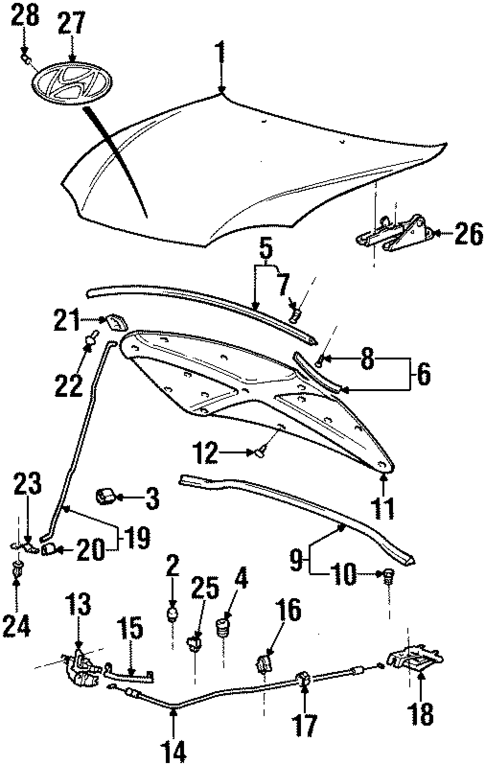 Hood & Components for 2001 Hyundai Tiburon #0