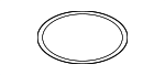 LR117476 - Fuel System: Fuel Pump O-Ring for Land-Rover Image