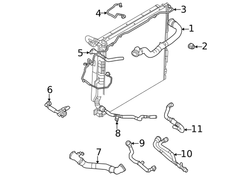 Hoses & Lines for 2023 Land Rover Range Rover #1