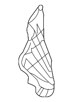 30633980 - Body: Cover Panel for Volvo Image