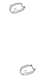 184450S010 - Exhaust: Front Shield for Toyota: Sequoia, Tundra Image