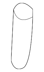 8155215740 - Body: Fuel Door Pin for Isuzu Image