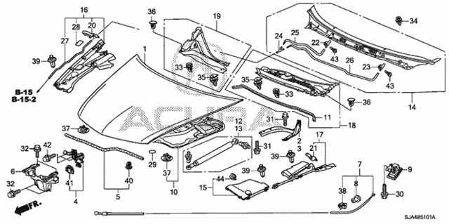Engine Hood (2) for 2011 Acura RL #0