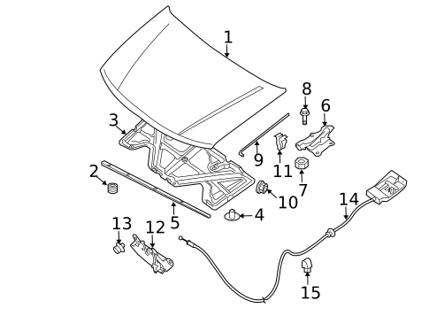Hood & Components for 2011 Nissan Xterra #0