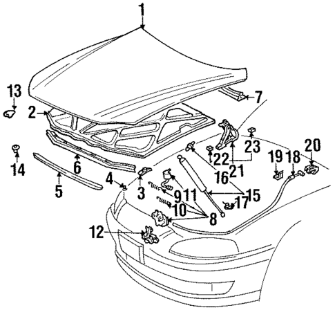 Hood & Components for 1997 Lexus SC300 #0