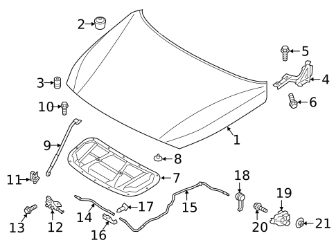 Hood & Components for 2019 Hyundai Elantra GT #0