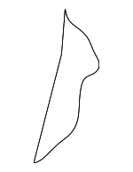 886116CA0A - Body: Seat Back Pad for Nissan: Altima Image