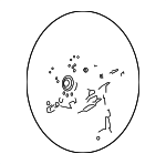 32306883771 - Steering: Steering Wheel for BMW: X3 Image