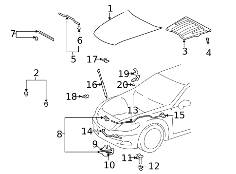 Hood & Components for 2009 Lexus LS600h #0