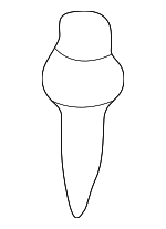 1997-2009 Lexus - Bumper Cover Clip