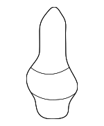 9046709127 - Body: Bumper Cover Clip for Lexus: ES300, LS400, LX470, LX570, SC400 Image