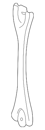 5321748010 - Cooling System: Lock Support for Lexus: RX300 Image