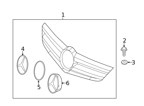 Grille & Components for 2011 Mercedes-Benz CL65 AMG #0