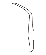 30619985 - Body: Headrest Cover for Volvo: S40, V40 Image