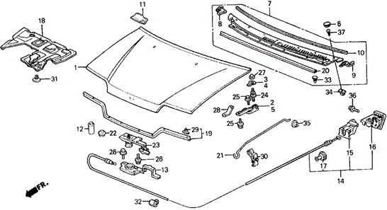 Hood for 1991 Honda Civic #0