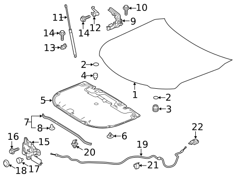 Hood & Components for 2018 Toyota Camry #2