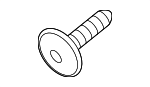 N90890301 - : Striker Screw for Audi: e-tron GT Image