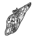 83471AT000 - : Window Regulator for Kia: Niro, Niro EV Image