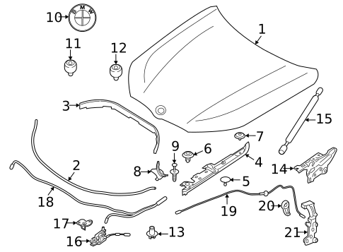 Hood & Components for 2022 BMW M850i xDrive Gran Coupe #0