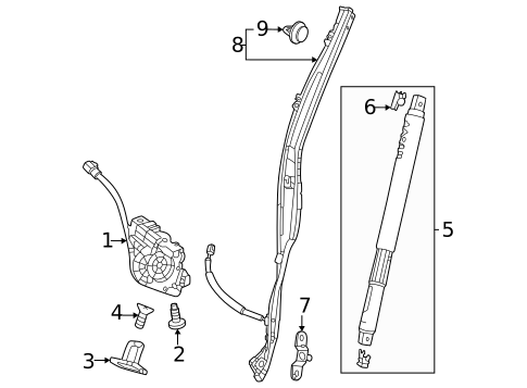Diagram 13