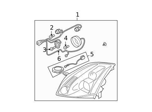 Bulbs - Chassis for 2005 Nissan Maxima #2