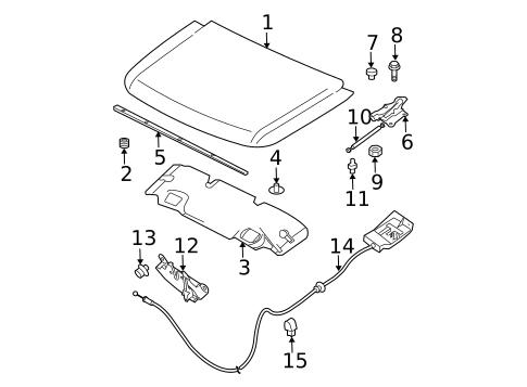 Hood & Components for 2006 Nissan TITAN #0