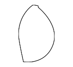 96807616 - Body: Seat Back Pad for Chevrolet: Aveo, Aveo5 | Pontiac: G3 Image