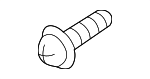 145100841 - Body: Rocker Molding Screw for INFINITI: EX35, EX37, FX35, FX37, FX45, FX50, G20, G25, G35, G37, I30, I35, JX35, M35, M35h, M37, M45, M56, Q40, Q45, Q50, Q60, Q70, Q70L, QX30, QX50, QX55, QX56, QX60, QX70, QX80 Image