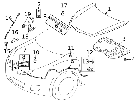 Hood & Components for 2009 Pontiac Vibe #0