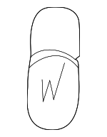 63217160797 - Electrical: Bulb for BMW: 1 Series M, 128i, 135i, 135is, 318i, 318is, 318ti, 320i, 320i xDrive, 323Ci, 323i, 323is, 325, 325Ci, 325e, 325es, 325i, 325is, 325iX, 325xi, 328Ci, 328d, 328d xDrive, 328i, 328i xDrive, 328is, 328xi, 330Ci, 330e, 330i, 330i xDrive, 330xi, 335i, 335i xDrive, 335xi, 340i, 340i xDrive, 428i, 428i xDrive, 430i, 430i xDrive, 435i, 435i xDrive, 440i, 440i xDrive, 525i, 525iT, 525xi, 528i, 528i xDrive, 528xi, 530i, 530xi, 535d, 535d xDrive, 535i, 535i GT, 535i GT xDrive, 535i xDrive, 535xi, 540i, 545i, 550i, 550i GT, 550i GT xDrive, 550i xDrive, 635CSi, 640i, 640i Gran Coupe, 640i xDrive, 640i xDrive Gran Coupe, 645Ci, 650i, 650i Gran Coupe, 650i xDrive, 650i xDrive Gran Coupe, 735i, 735iL, 740i, 740iL, 745i, 745Li, 750i, 750iL, 750Li, 760i, 760Li, 840Ci, 850Ci, 850CSi, 850i, ActiveHybrid 3, ActiveHybrid 5, Alpina B7, M3, M4, M5, M6, M6 Gran Coupe, X1, X3, X4, X5, X6, Z3, Z4, Z8 Image