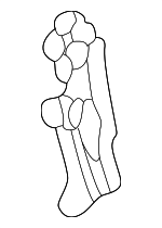 16511565 - Electrical: Circuit Board for Cadillac: Escalade | Chevrolet: Blazer, C1500, C2500, C3500, K1500 Pickup, K2500 Pickup, K3500 Pickup, Suburban C1500, Suburban C2500, Suburban K1500, Suburban K2500, Tahoe | GMC: C1500 Pickup, C2500 Pickup, C3500 Pickup, K1500 Pickup, K2500 Pickup, K3500 Pickup, Suburban C1500, Suburban C2500, Suburban K1500, Suburban K2500, Yukon Image