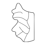 510360C010 - Body: Front Plate for Toyota: Sequoia, Tundra Image