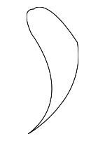 C2N3039CDY - Body: Cushion Cover for Jaguar Image