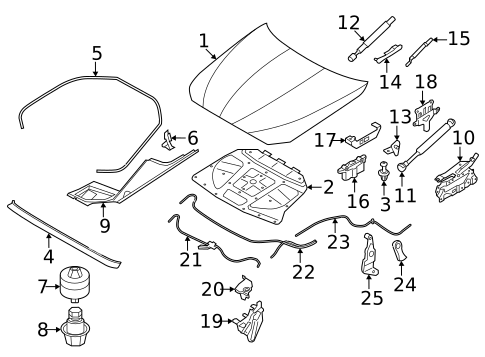 Hood & Components for 2015 BMW ActiveHybrid 5 #0