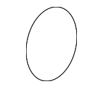 221311HC1A - Electrical: Crankshaft Sensor O-Ring for Nissan Image