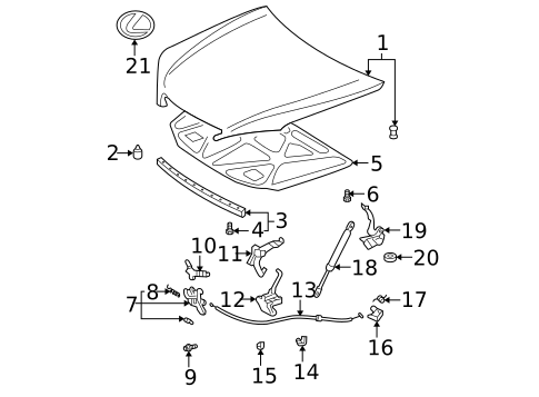 Exterior Trim - Hood for 2005 Lexus ES330 #0