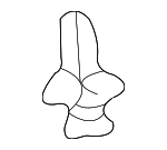 90467A0008 - Body: Bumper Cover Clip for Scion: tC, xB | Toyota: 4Runner, Avalon, Camry, Celica, Corolla, FJ Cruiser, Highlander, Land Cruiser, Matrix, MR2 Spyder, Paseo, Prius, RAV4, Sequoia, Sienna, Solara, Tacoma, Tercel, Tundra, Yaris Image