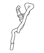 L1MZ18599A - : Connector Hose for Lincoln: Aviator Image