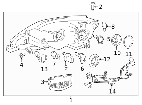 Bulbs - Chassis for 2019 Nissan Sentra #3