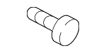 FS108167PL - Cooling System: Bracket Screw for Land Rover: Discovery, Freelander, LR3, LR4 Image