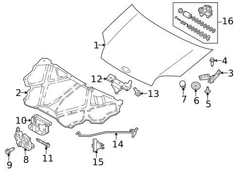 Hood & Components for 2013 Ford Transit Connect #0