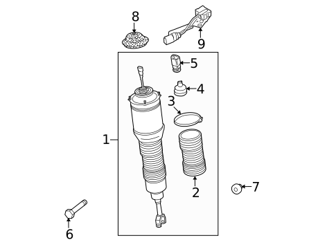 Shocks & Components for 2009 Audi S8 #0