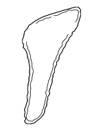 32209568 - Engine: Timing Chain for Saab: 9-5, 900, 9000 Image