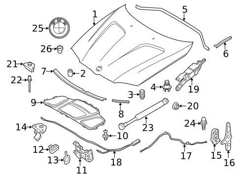 Hood & Components for 2014 BMW X3 #0